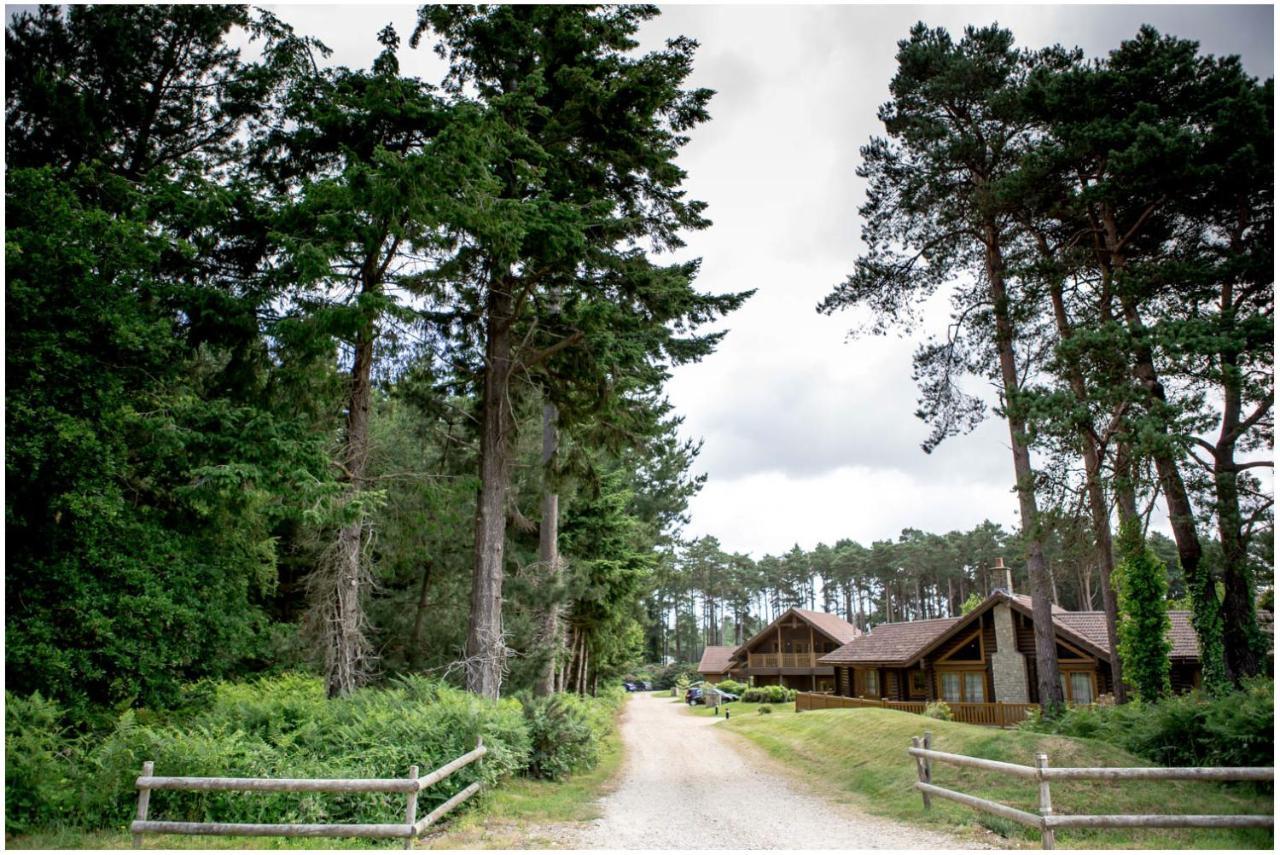 Dorset Resort Hotel East Stoke  ภายนอก รูปภาพ